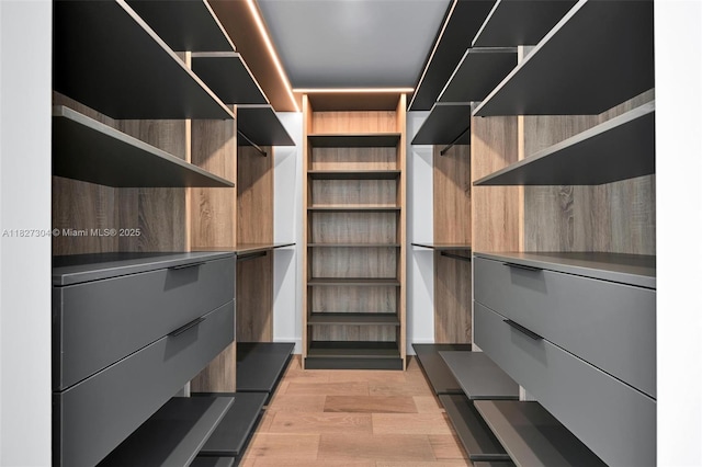 200 Sunrise Dr Unit 200C, Key Biscayne, FL 33149 - walk in closet with light wood-style flooring