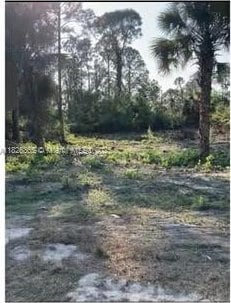 322Lubdel Ave S, Lehigh Acres, FL 33974