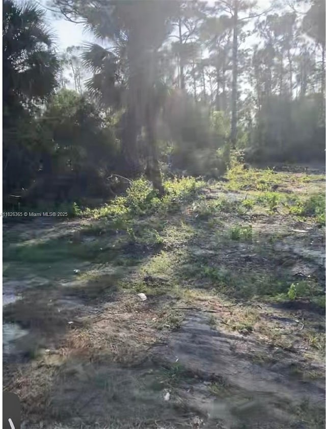 322Lubdel Ave S, Lehigh Acres, FL 33974