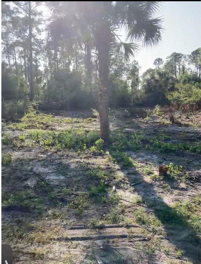 322Lubdel Ave S, Lehigh Acres, FL 33974