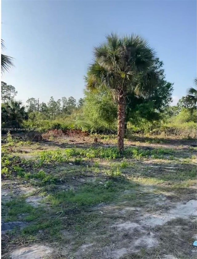 322Lubdel Ave S, Lehigh Acres, FL 33974