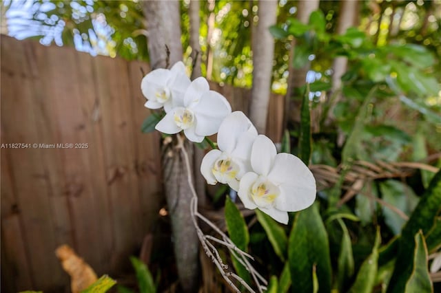2125 SW 26th St, Miami, FL 33133 - exterior view