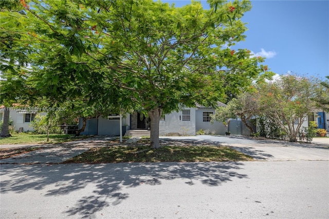2125 SW 26th St, Miami, FL 33133 - view of property hidden behind natural elements with driveway