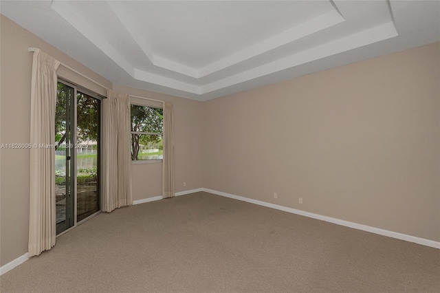3843 Oak Ridge Cir, Weston, FL 33331 - unfurnished room with a raised ceiling and light carpet