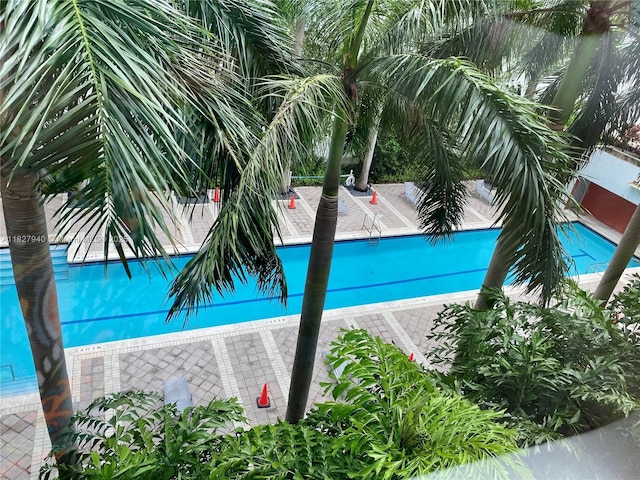 133 NE 2nd Ave Unit 815, Miami, FL 33132 - view of community pool