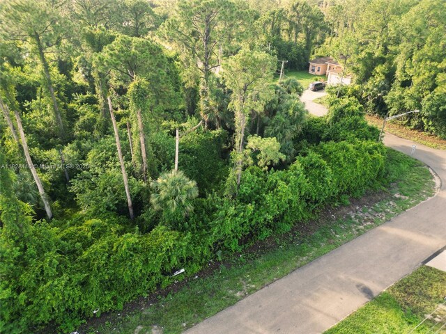 953 Lytle St E, Lehigh Acres, FL 33974