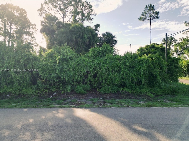953 Lytle St E, Lehigh Acres, FL 33974
