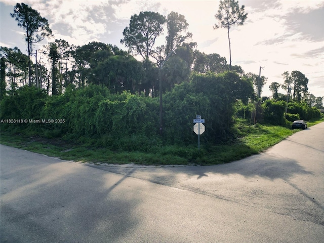 953 Lytle St E, Lehigh Acres, FL 33974