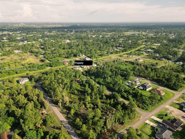 953 Lytle St E, Lehigh Acres, FL 33974