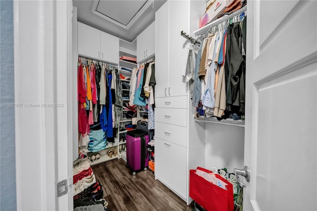 3574 W 88th Ter, Hialeah, FL 33018 - walk in closet featuring attic access and dark wood-style flooring