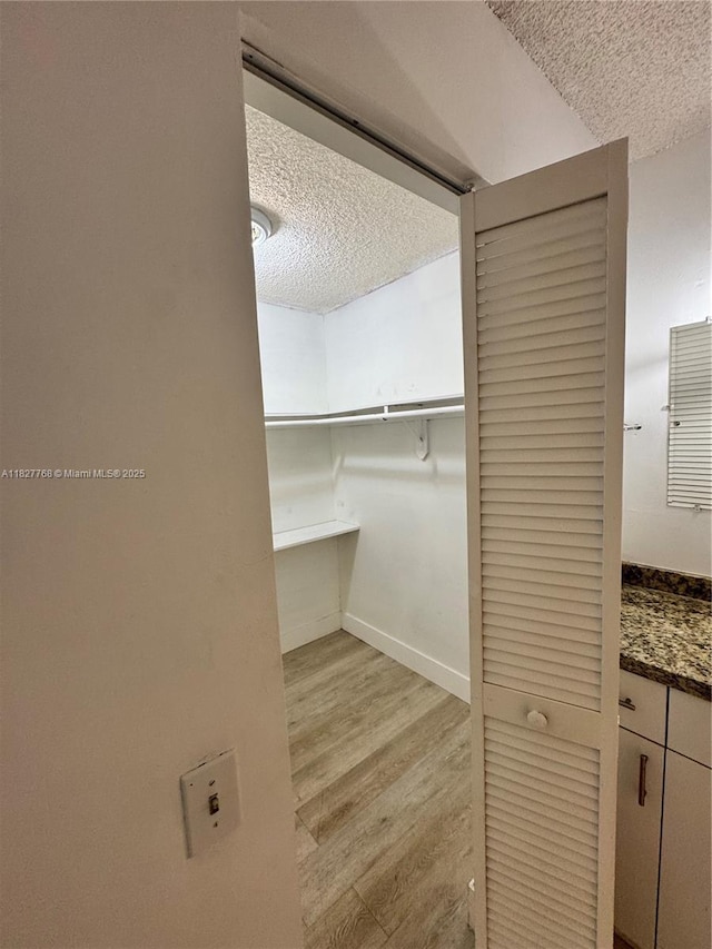 12105 NE 6th Ave Unit 304, North Miami, FL 33161 - spacious closet featuring light wood-style floors