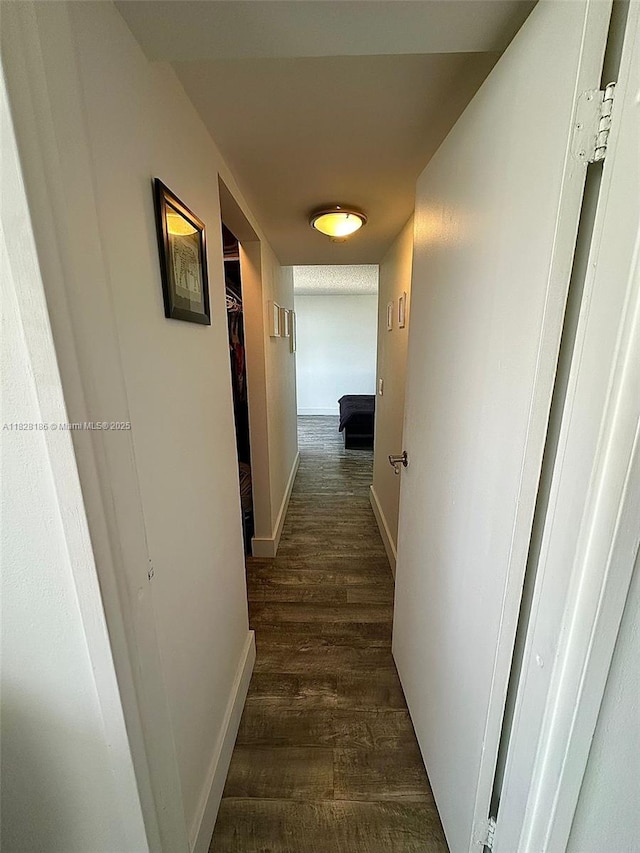 13499 Biscayne Blvd Unit 1013, North Miami, FL 33181 - hallway with dark wood-style floors and baseboards