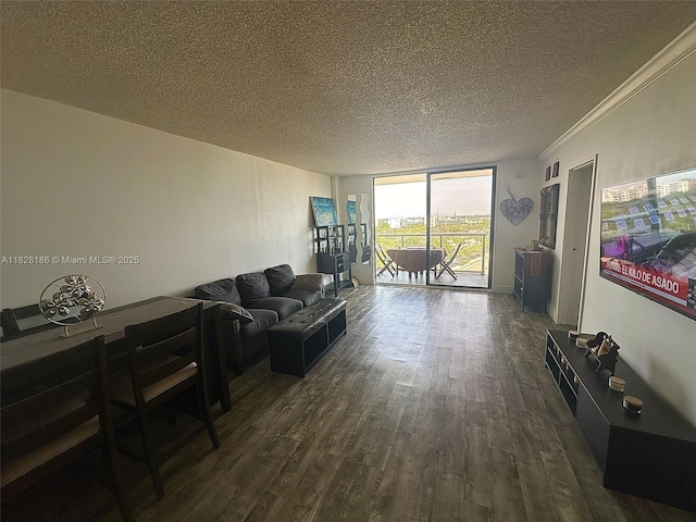 13499 Biscayne Blvd Unit 1013, North Miami, FL 33181 - living room featuring a textured ceiling, dark wood-type flooring, and expansive windows