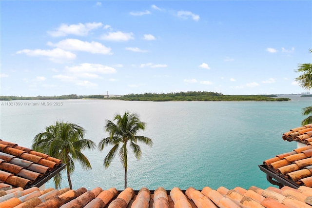 2443 Fisher Island Dr Unit 5403, Miami Beach, FL 33109 - photo 2
