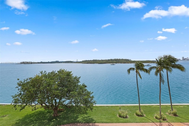 2443 Fisher Island Dr Unit 5403, Miami Beach, FL 33109 - photo 9