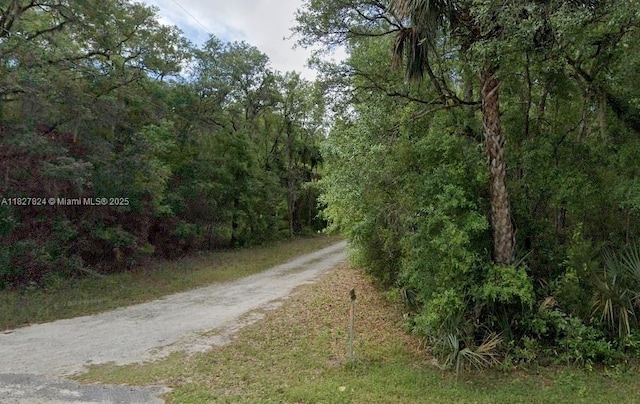 16400 Ne 138th Ct, East Marion, FL 32134