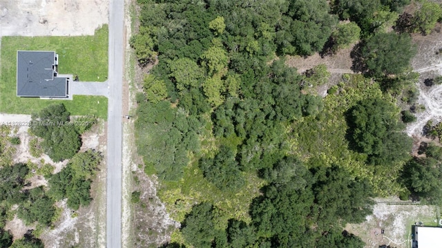 1511 Calvin Ave, Lehigh Acres, FL 33972