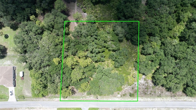 1511 Calvin Ave, Lehigh Acres, FL 33972