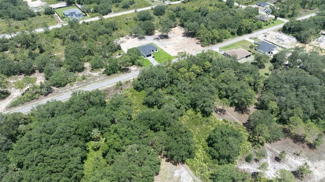 1511 Calvin Ave, Lehigh Acres, FL 33972