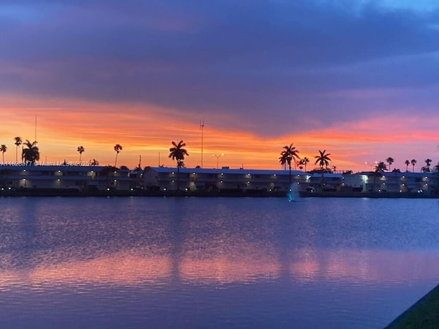 1000 SW 10th Ter Unit 2P, Hallandale Beach, FL 33009 - water view