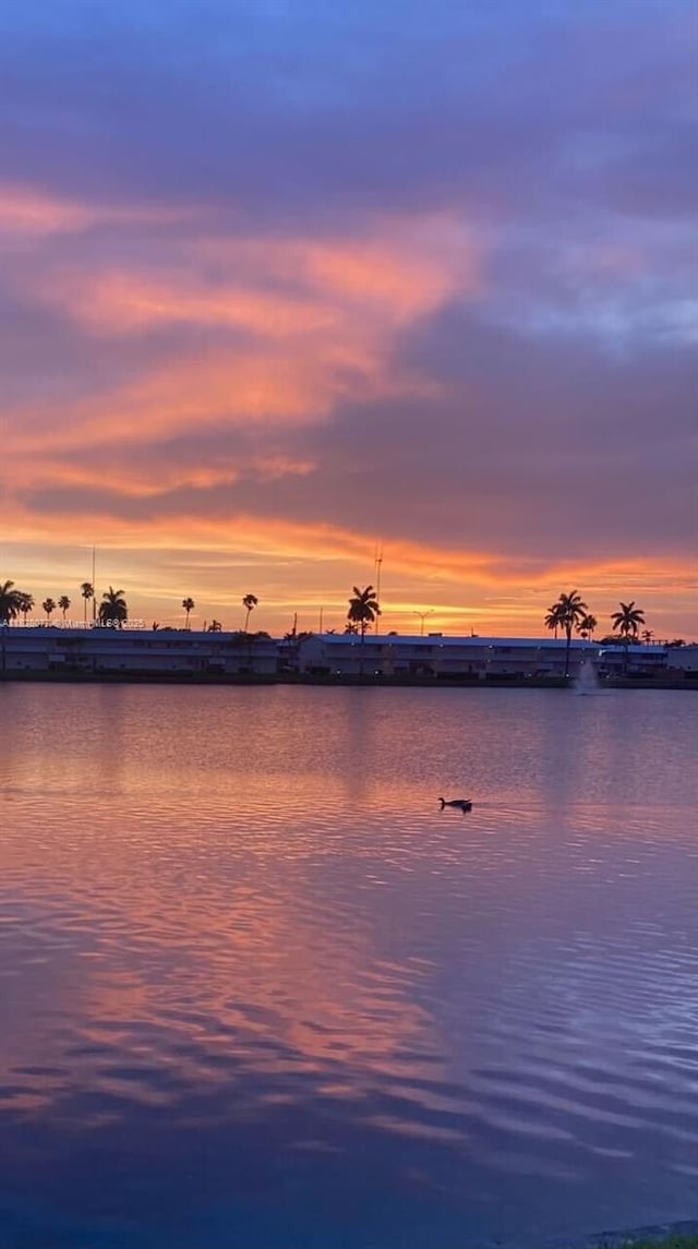 1000 SW 10th Ter Unit 2P, Hallandale Beach, FL 33009 - water view