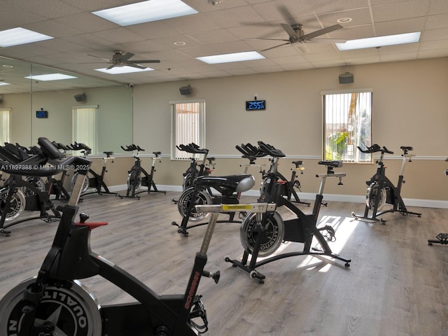 199 Durham D Unit 199, Deerfield Beach, FL 33442 - exercise room featuring ceiling fan, wood finished floors, and a drop ceiling