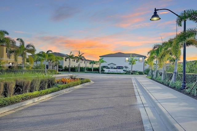 6011 W Paso Fino Pl, Davie, FL 33314 - view of decorative street with curbs, street lights, and a residential view