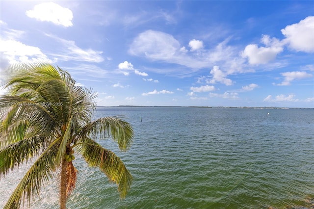 770 Claughton Island Dr Unit 1210, Miami, FL 33131 - water view
