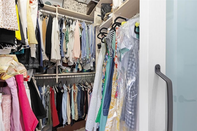 220 SW 113th Ter, Pembroke Pines, FL 33025 - view of walk in closet