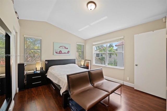 1115 SW 180th Ter, Pembroke Pines, FL 33029 - bedroom with lofted ceiling, multiple windows, and dark wood-style floors