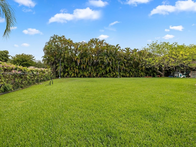 6005 SW 135th Ter, Pinecrest, FL 33156 - view of grassy yard