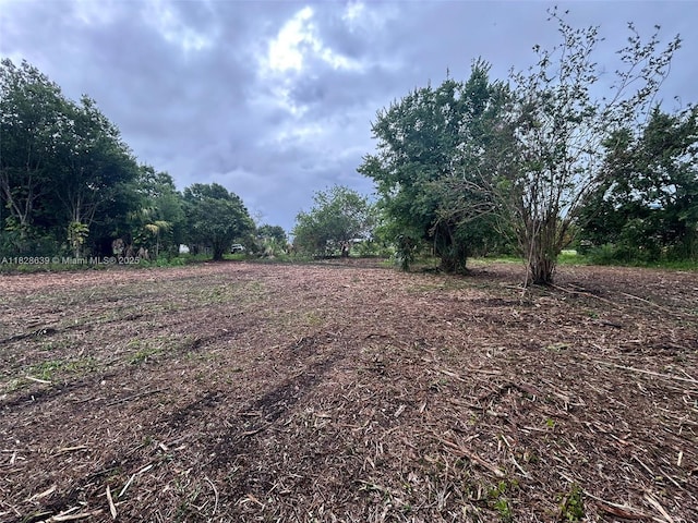 1052 Oak St, Moore Haven, FL 33471 - photo 9