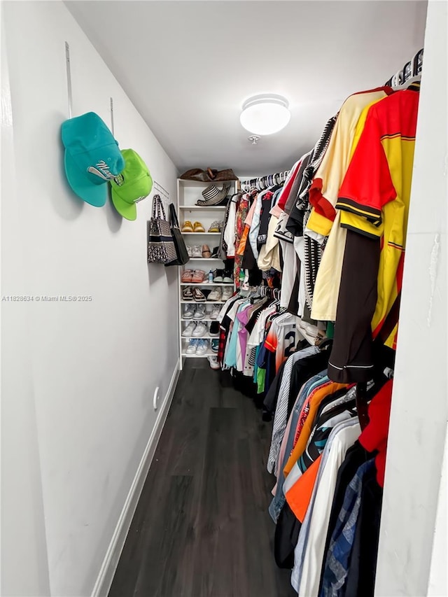 22551 SW 88th Pl Unit 205, Cutler Bay, FL 33190 - walk in closet with wood finished floors