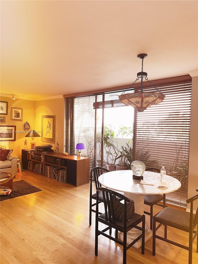 555 NE 30th St Unit 201, Miami, FL 33137 - photo 17