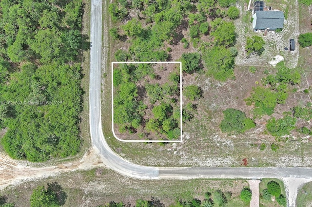 1246 Sentinela Blvd, Lehigh Acres, FL 33974