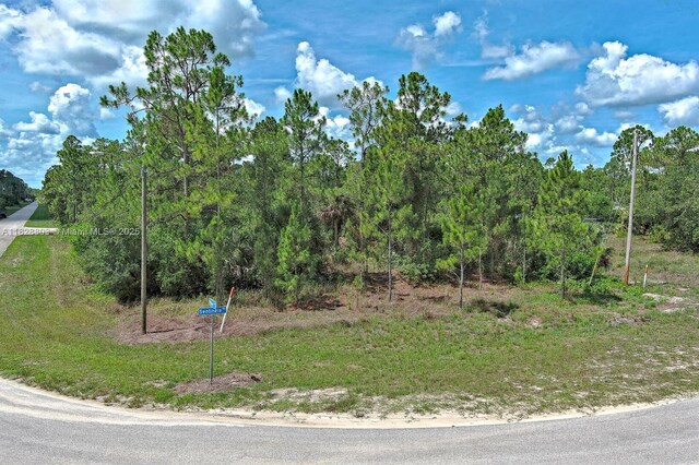 1246 Sentinela Blvd, Lehigh Acres, FL 33974