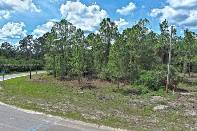 1246 Sentinela Blvd, Lehigh Acres, FL 33974