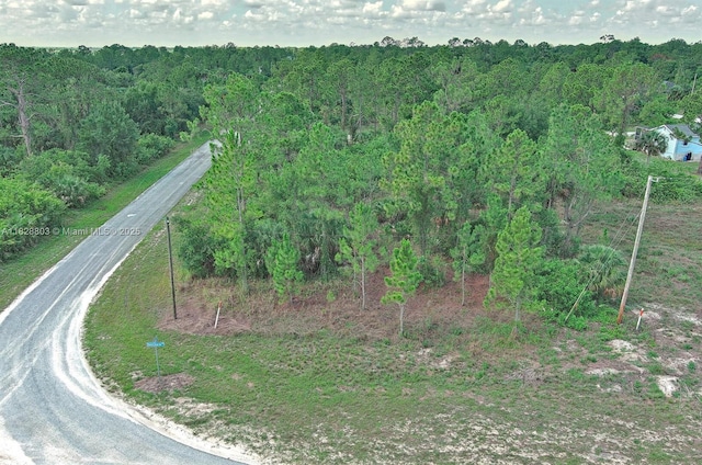 1246 Sentinela Blvd, Lehigh Acres, FL 33974