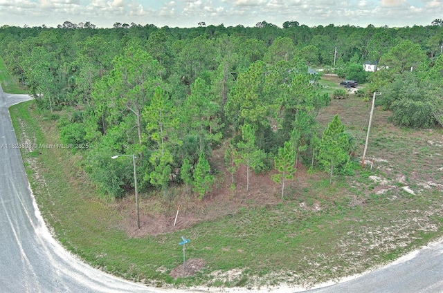 1246 Sentinela Blvd, Lehigh Acres, FL 33974