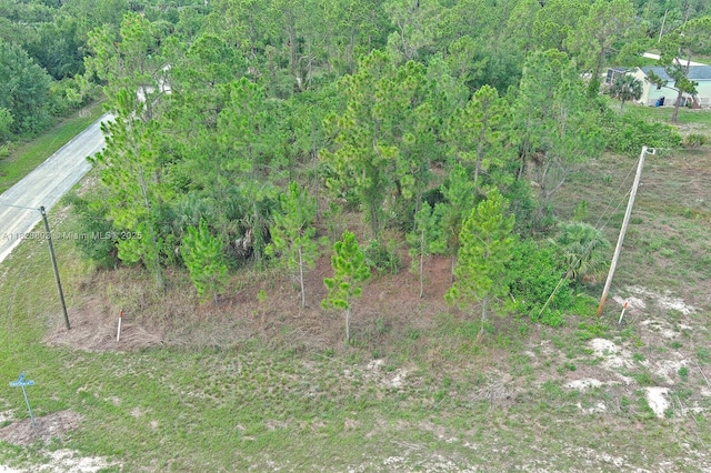 1246 Sentinela Blvd, Lehigh Acres, FL 33974