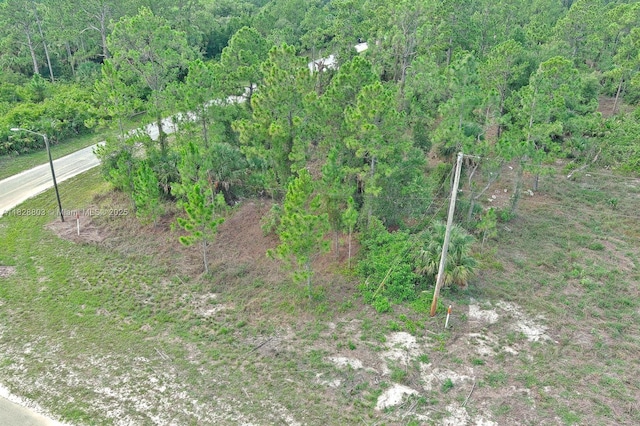 1246 Sentinela Blvd, Lehigh Acres, FL 33974