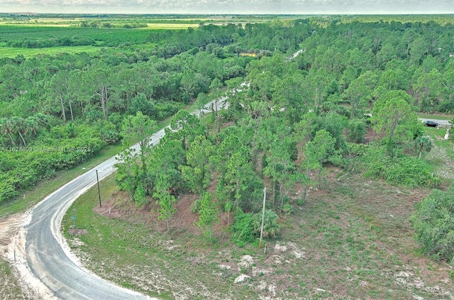 1246 Sentinela Blvd, Lehigh Acres, FL 33974