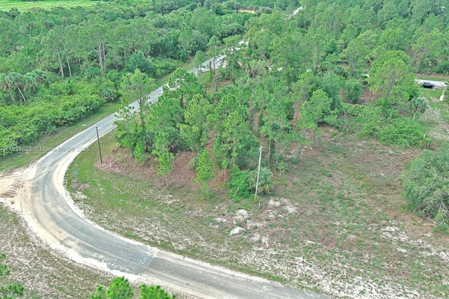 1246 Sentinela Blvd, Lehigh Acres, FL 33974