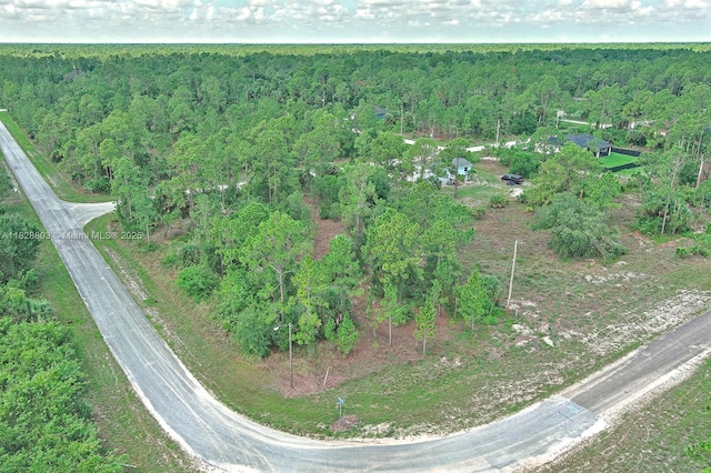 1246 Sentinela Blvd, Lehigh Acres, FL 33974