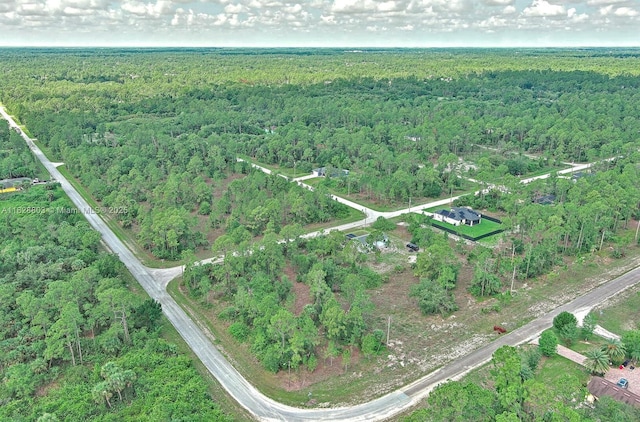 1246 Sentinela Blvd, Lehigh Acres, FL 33974