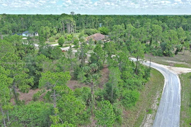 1246 Sentinela Blvd, Lehigh Acres, FL 33974