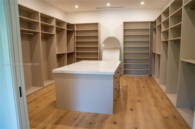 7605 SW 71st Ave, Miami, FL 33143 - spacious closet with light wood-style floors