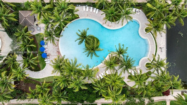 3055 NW 126th Ave Unit 107, Sunrise, FL 33323 - view of swimming pool