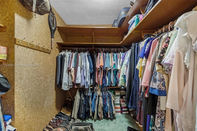 31260 SW 202nd Ave, Homestead, FL 33030 - view of walk in closet