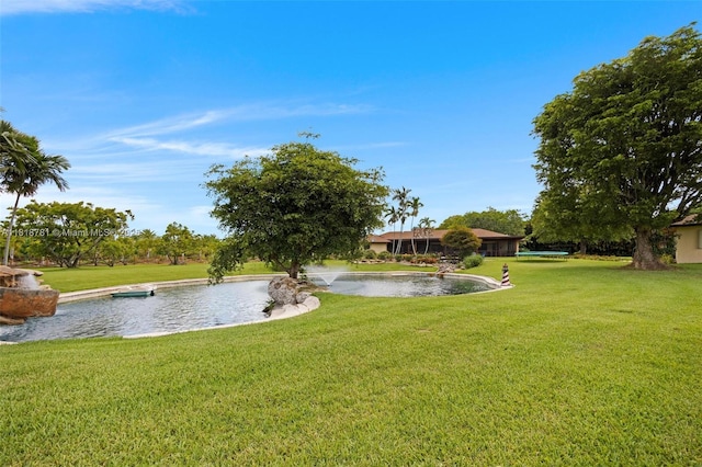 31260 SW 202nd Ave, Homestead, FL 33030 - view of grassy yard